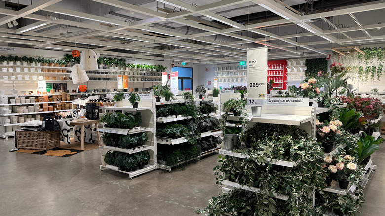 Ikea interior with plants and pots