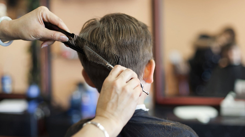 Young boy getting his hair cut