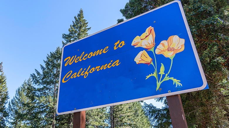 These States Have The Steepest 401k Withdrawal Penalties