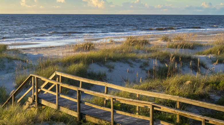 beach on Florida's Amelia Island