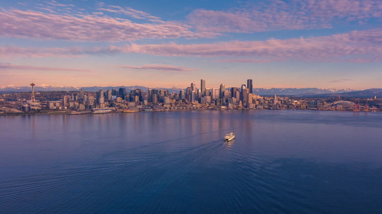 Elliott Bay and Seattle from above
