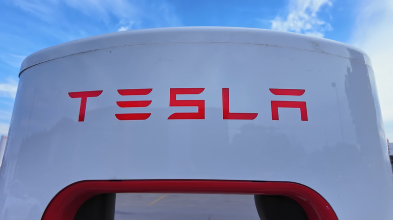The Tesla logo on a white vehicle against a blue sky.