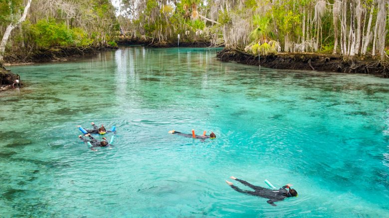 Family of four snorkeling in clear Florida water