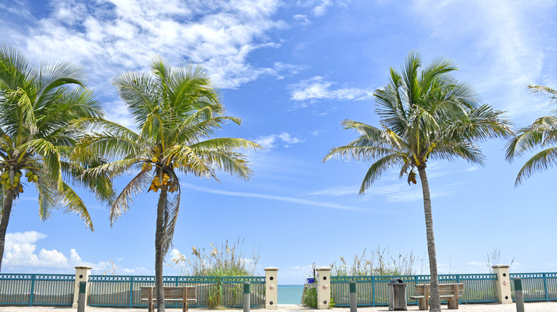 beach entrance with blue skies and palm trees