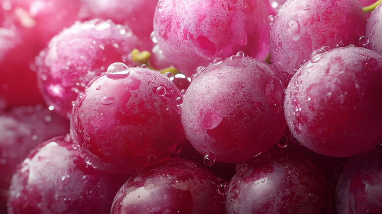 A macro shot of grapes, capturing the fruit in extreme close-up with exceptional detail.