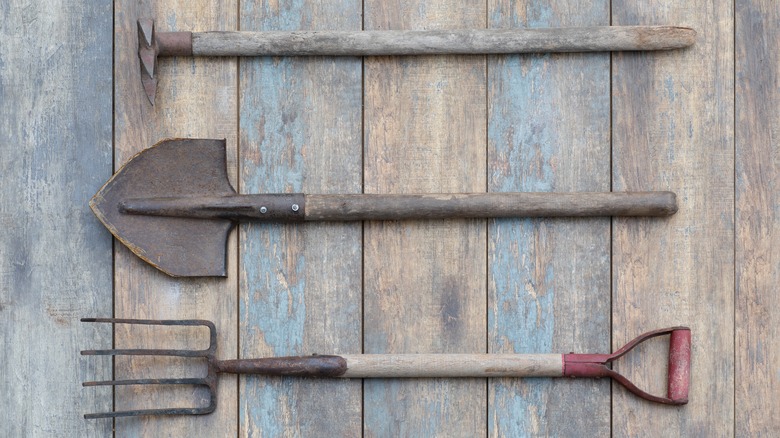 Village gardening tools, shovel, pitchfork on a wooden background.