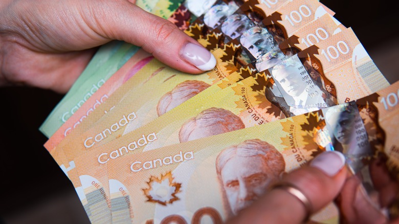 Closeup on Canadian dollars in various denominations.