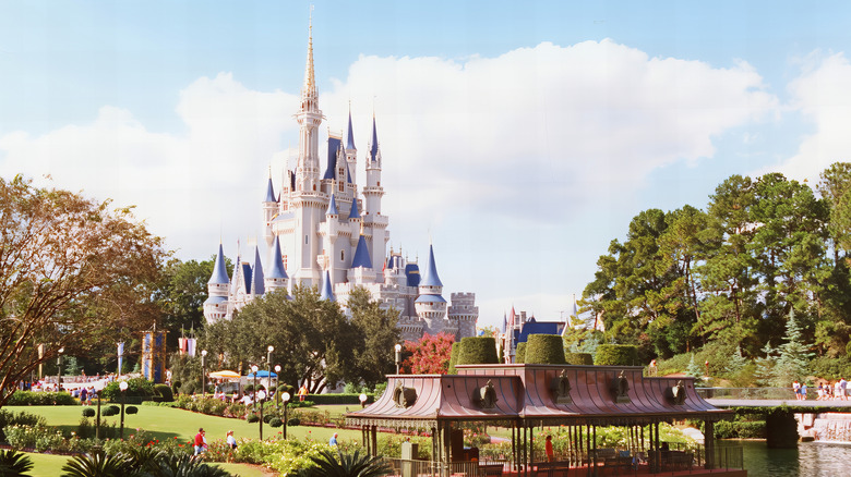 Disney World castle in Orlando, Florida