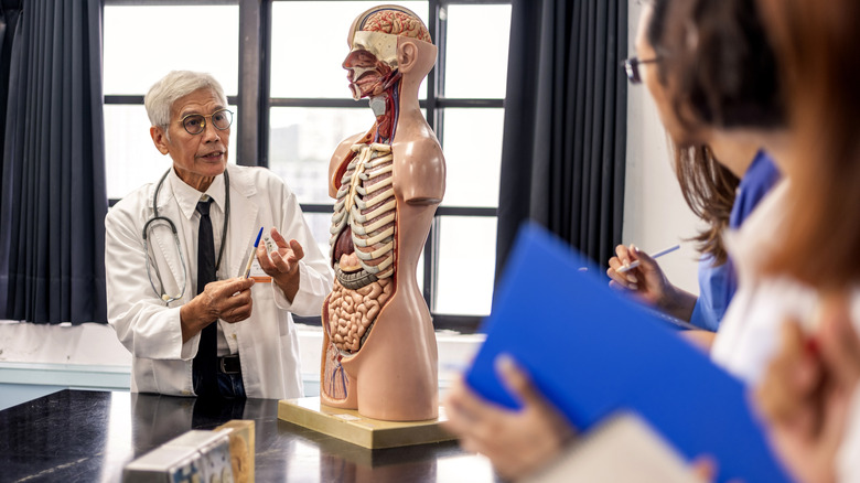 medical school class viewing a human anatomy model