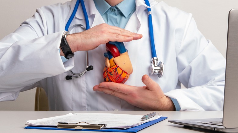 doctor holding model of a heart
