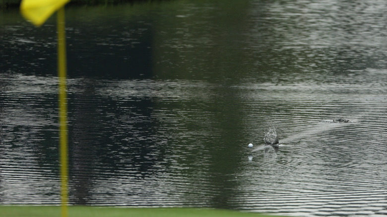 Golf ball in a pool