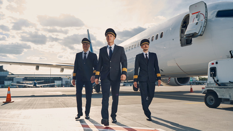 Airline Pilot