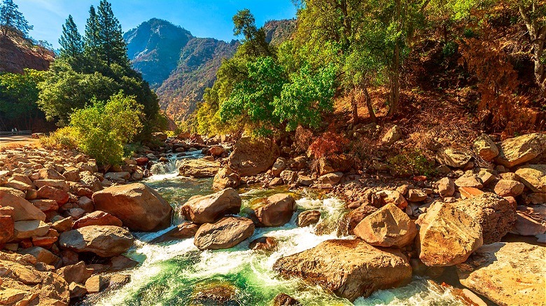 Kings Canyon National Park