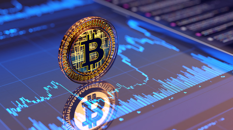The Burger Chain That Became The First Major US Restaurant To Build A Bitcoin Reserve