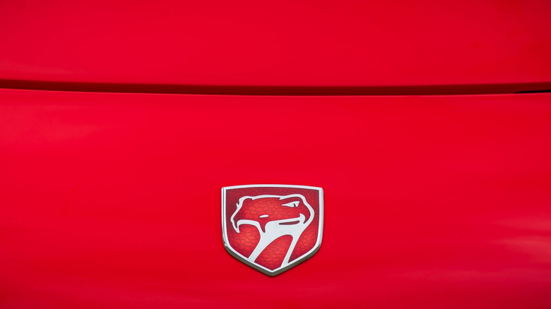 Dodge Viper logo on a red surface