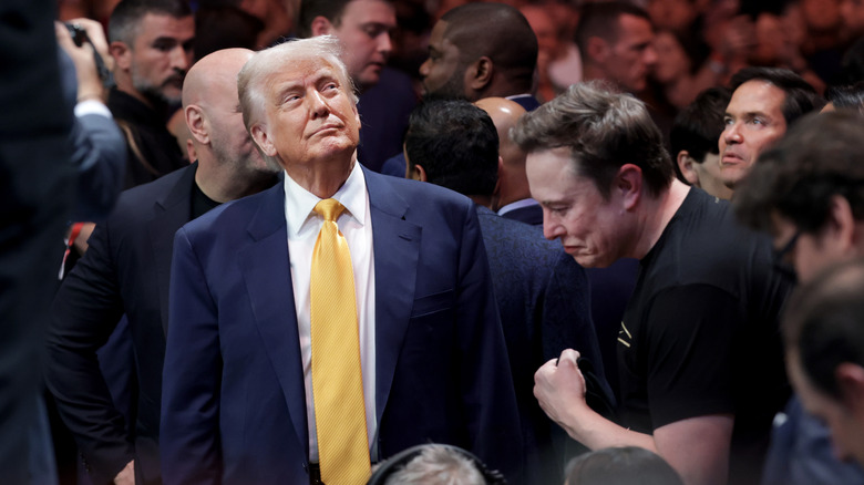Elon Musk and Donald Trump