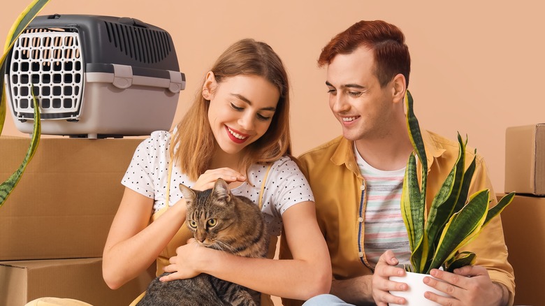 getting ready to move with a pet