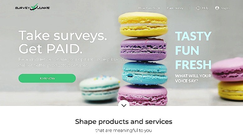 Survey Junkie website
