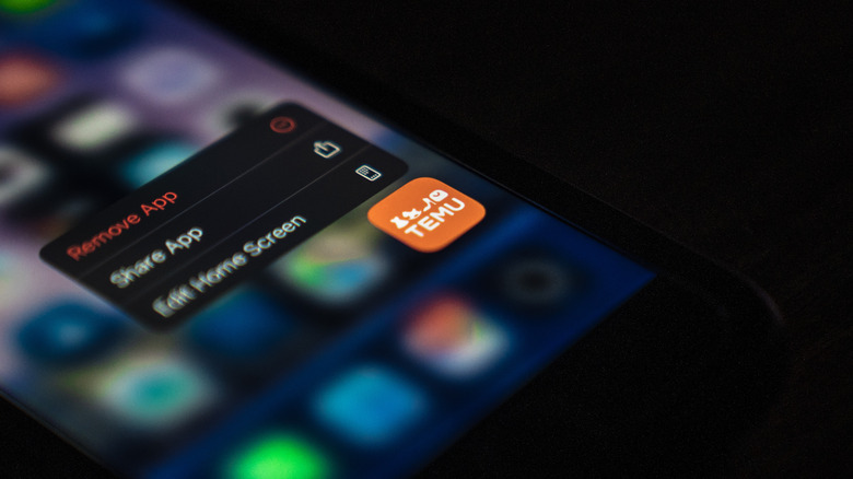 Smartphone screen showing Temu app icon
