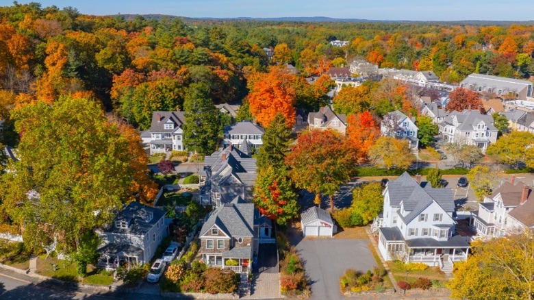 Historic houses in Wellesley, Massachusetts surrounded by trees.