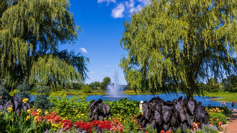 A botanical garden with a fountain in the middle of a lake in Glencoe IL.