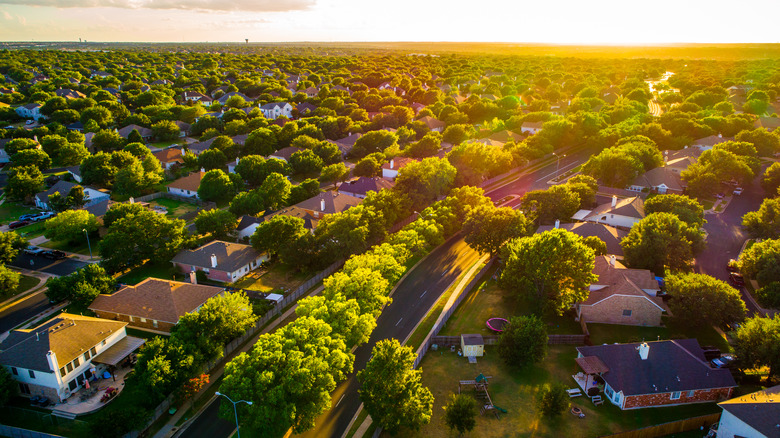 Sunset above modern development homes in Texas.