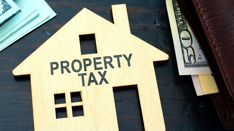 The Sneaky Risk That Comes With Appealing Your Property Taxes
