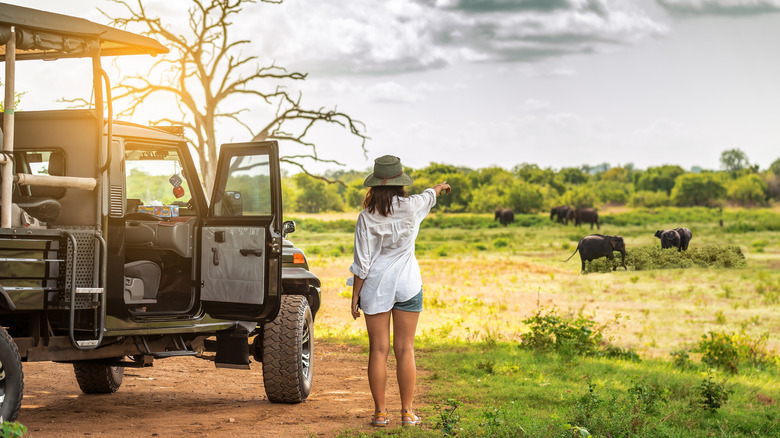 Tourist woman near off-road car pointing at elephants