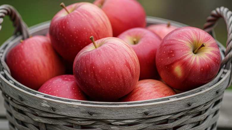 Basket of red apples