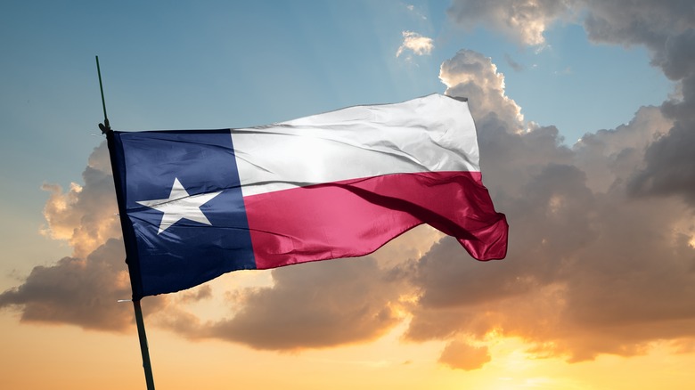 Texas flag blowing in wind.