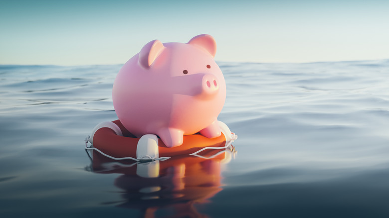Piggy bank on life buoy