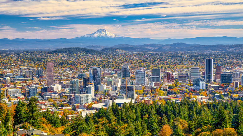 Aerial view of Portland, Oregon in autumn