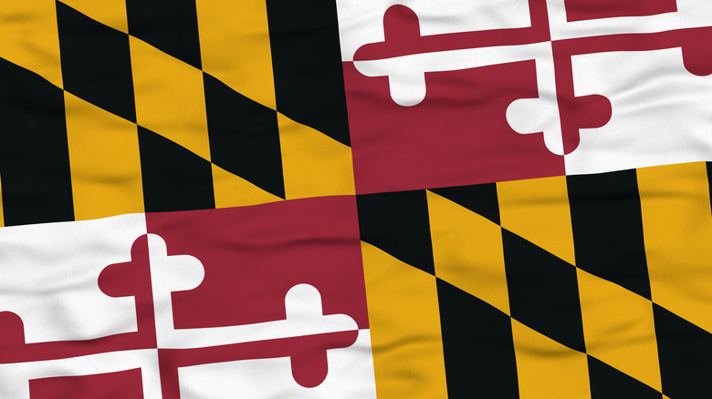 Maryland state flag