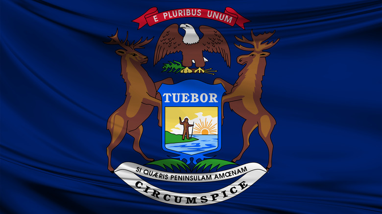 Michigan state flag