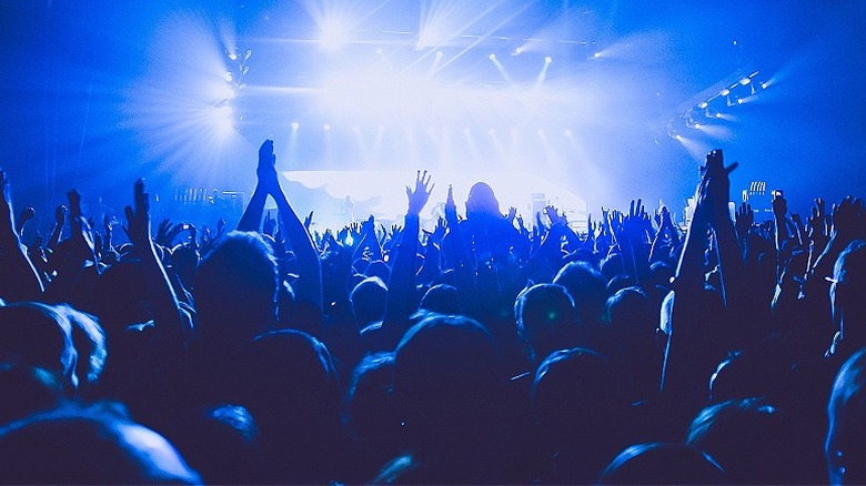 People in concert crowd