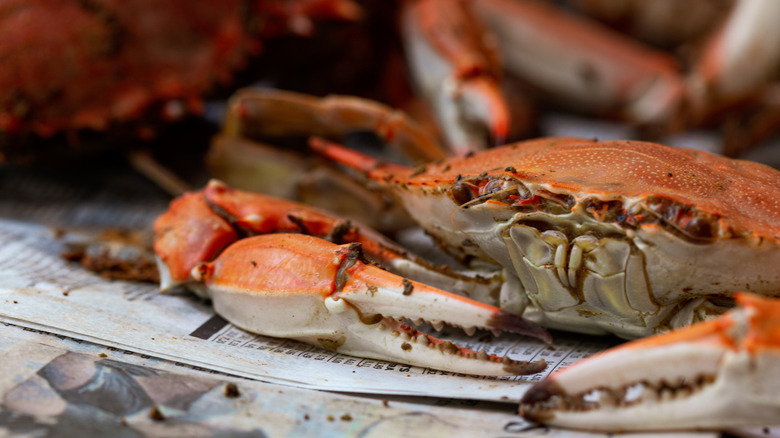 A steamed crab