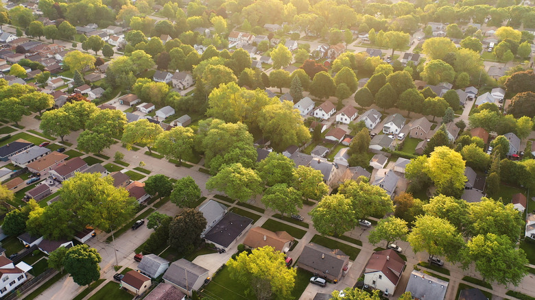 The sun setting over a midwestern suburb