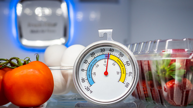 refrigerator set to an appropriate temperature