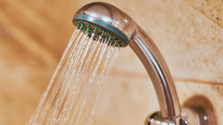 low flow showerhead