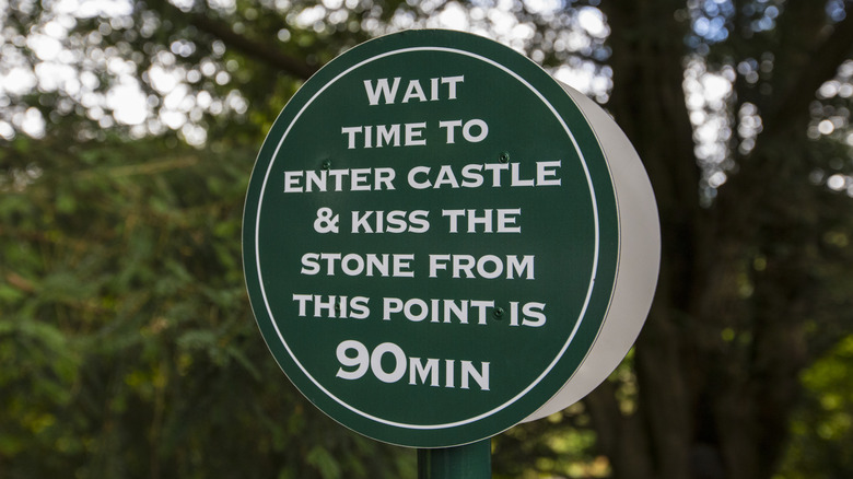 A round green sign advertising the Blarney Stone's wait time of  90 minutes, amidst conifer tree branches.