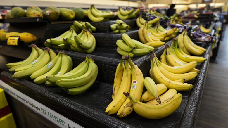 Bananas in various stages of ripeness on display at a grocery store