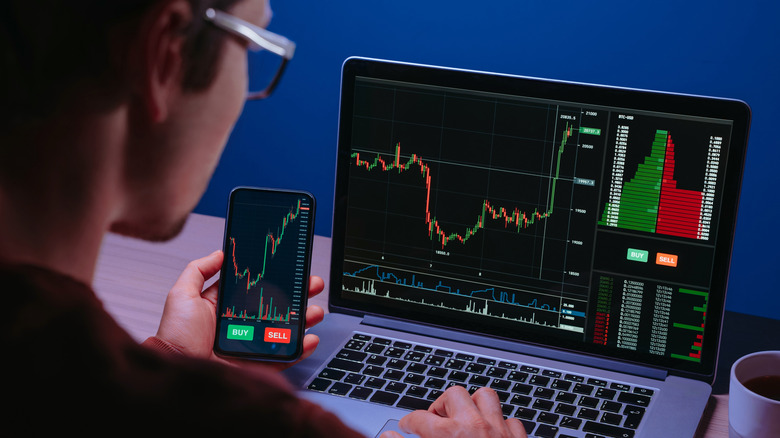 Person checking crypto investments.