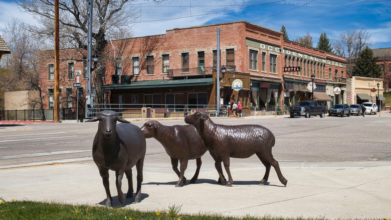 Close up of sheep statues in downtown Buffalo, Wyoming during daytime