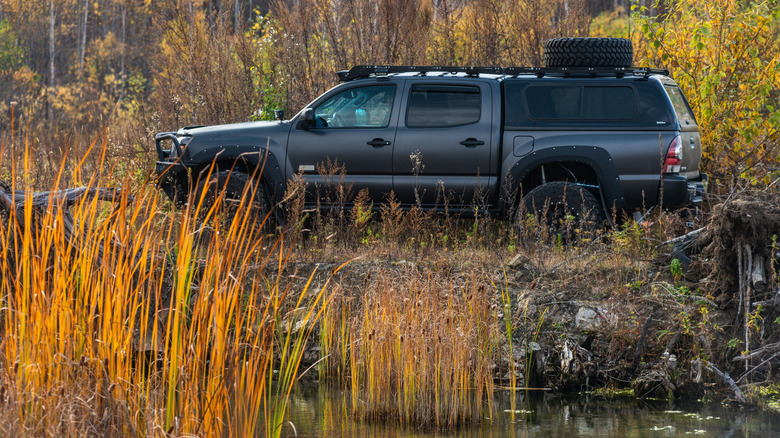 A silver Tacoma Toyota parked in the woods next to a stream.