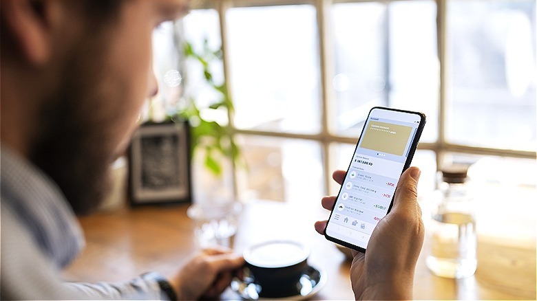 Person reviewing expenses on app