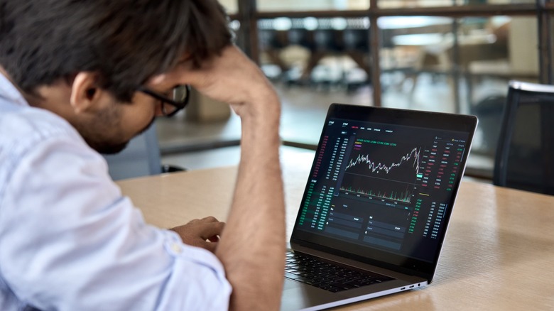 studying the market