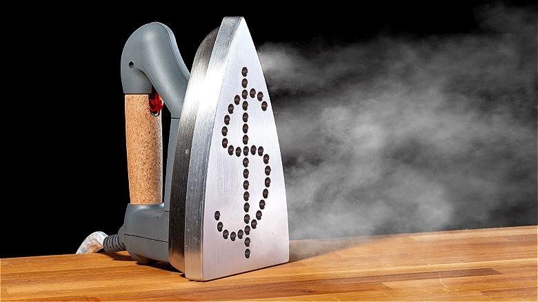 Steam iron with dollar sign