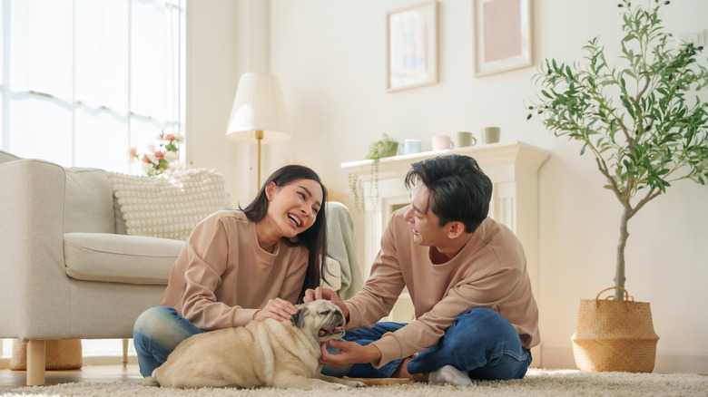 Couple with a pug in their living room
