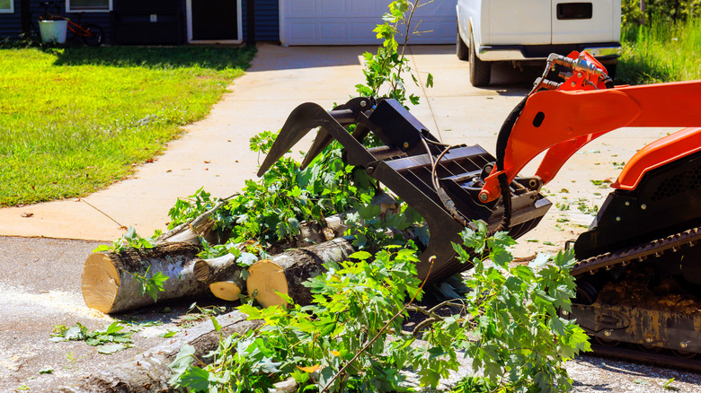 Branches being removed from a driveway