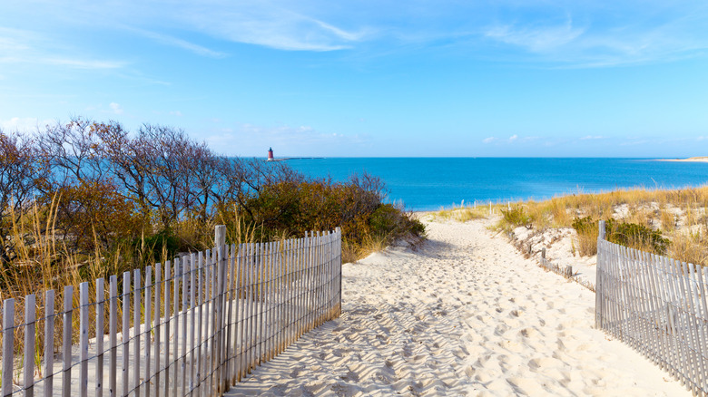 A sandy , fence-lined trail leading to a blue ocean with a small lighthouse in the distance.